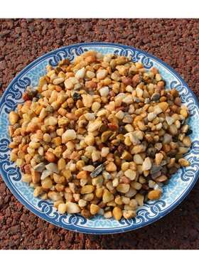 石头装修庭院洗米石水洗石石子园林透水地坪骨料黑白黄红绿色石米