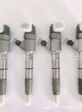 0433172156共轨喷油器0445110443 0433172266喷油嘴总成