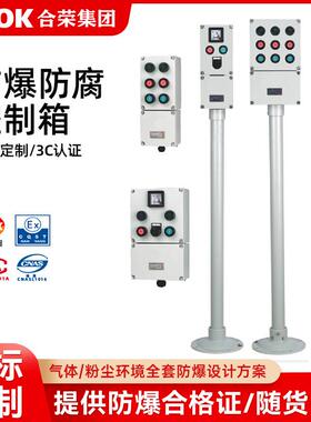 防爆接线箱防爆防腐照明开关IIIC级防爆防腐主令控制器化工纺织