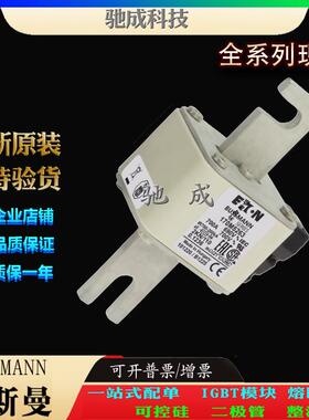 巴斯曼170M5263 170M5264 170M5265 现货供应质优价廉 快速保险丝