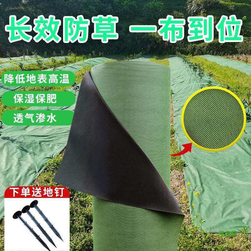 抗老化加厚遮草布除草果园防草布布厂家直销农用绿黑地膜渗水果树,电子元器件市场,其它元器件,淘宝优惠券,粉丝福利购,淘宝优惠卷