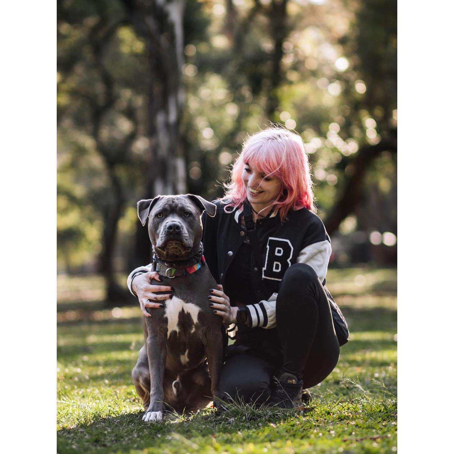 QZee狗狗项圈zeedog宠物可调脖圈小中大型犬遛金毛柯基法斗泰迪绳