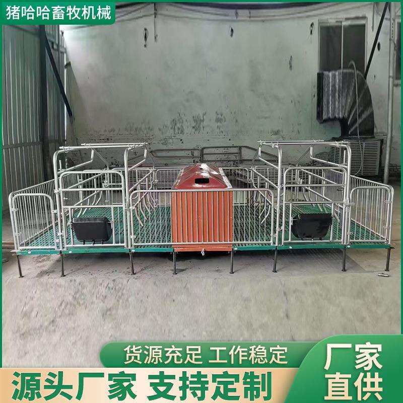 厂家现货母猪复合产床猪用产保两用双体产床母猪分娩栏全复合 仔