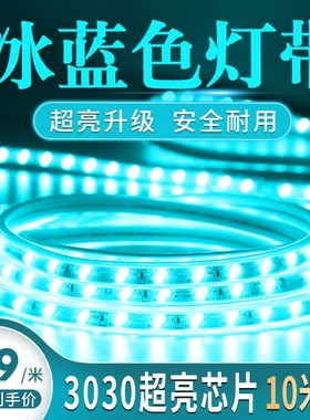 灯带led灯条贴片冰蓝色220v双排家用装饰户外防水超亮单色软灯带