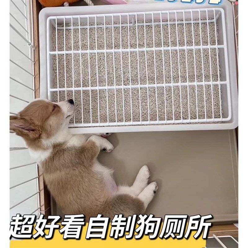 狗狗厕所猫兔宠物厕所加高架子拉屎拉便防踩屎不粘脚中小型犬便盆