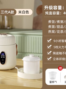 迷你养生电炖杯多功能办公室便携烧水杯便携式炖煮小型一人煮粥杯