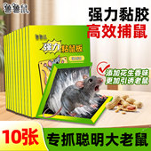 鲁鲁鼠 加大加厚老鼠粘花生味物理引诱粘大老鼠驱鼠器 强力粘鼠板
