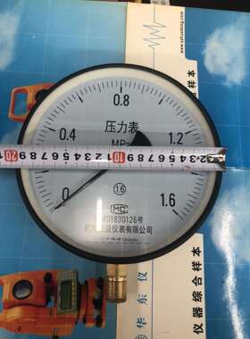 杭州东亚表盘直径200MM压力表Y200螺纹20*1.5MM