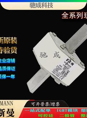 巴斯曼170M6207 170M6208 170M6209 长期出厂价格 快熔保险丝