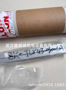 意大利ROLLON 滚轮滑轨滑块直线导轨DSS43-1490