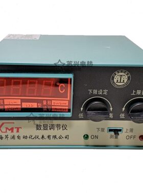 仪调节数显 10ET10   -2p12 12温控仪表  101M0温度控制器X12 Kt