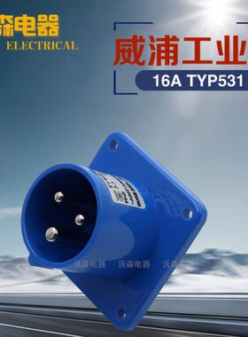 A33 威浦插头Y4芯(IP座针T) 工业插座暗装IP4P5U EW116