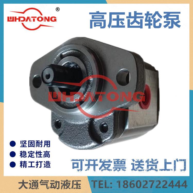 齿轮泵液压油泵1AG1P02R/02R/03R/04R/0R5/06R/07R/08R/09R/35R