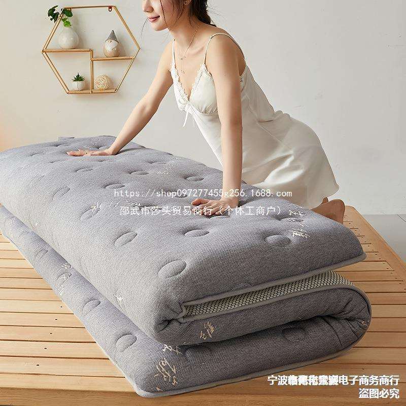 一米三五床垫2x2米5乘以二9九1米8八乘两米褥子双人1.8m1.5宽1.9