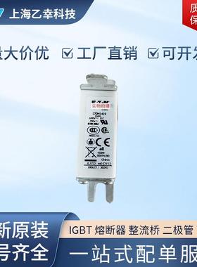 巴斯曼熔断器 170M1461 170M1462 170M1463 170M1464 170M1465