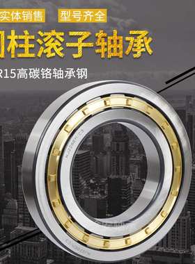 二类轴承单列圆柱滚子轴承NN3021K/YA偏心轴承