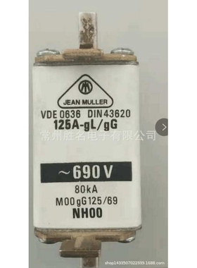 JEAN MULLER NH00 125A ~690V M00gG125/69 200A 250A 100A熔断器