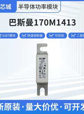巴斯曼170M1413新能源户外熔断器