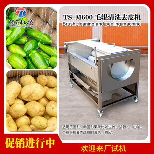 毛刷去皮清洗机 海蛎子清洗机 蔬菜水果毛辊清洗机