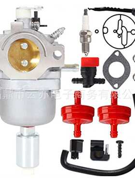 适用于794572 594601 594605 697216 31P677 799256 795366化油器