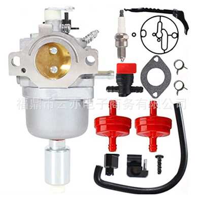 适用于794572 594601 594605 697216 31P677 799256 795366化油器