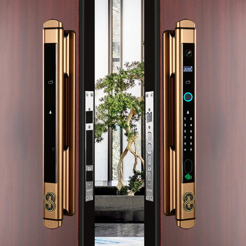 人脸识别双开指纹锁自动入户防盗门密码锁智N能门锁电子锁招财进