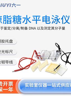 北京六一 琼脂糖水平电泳仪DYCP-31DN/CN实验室蛋白凝胶电泳槽