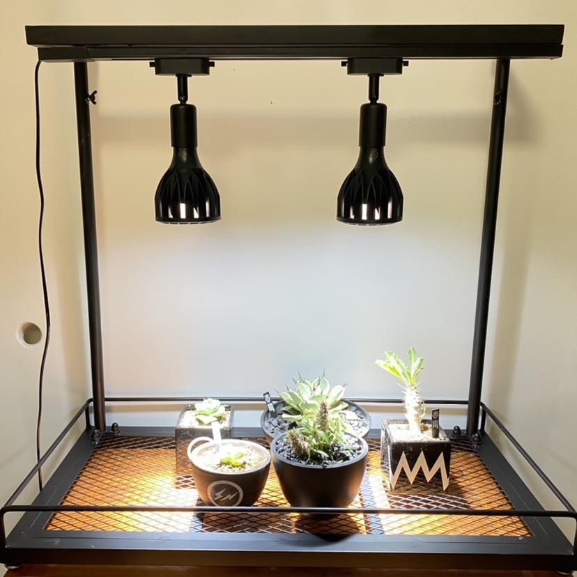 NBHD多肉花架可挂补光灯多层日式块根植物架盆栽花盆架子灯架