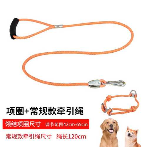 CHUKCHI楚克奇宠物牵引绳项圈狗狗半P链遛狗绳牵引套装外贸样品