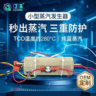 蒸气发生器商用即热电锅炉蒸汽机小型发热设备 电加热蒸汽发生器