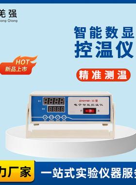 电子智能控温仪实验室数显电子节能温控仪ZNHW-II智能温度控制仪