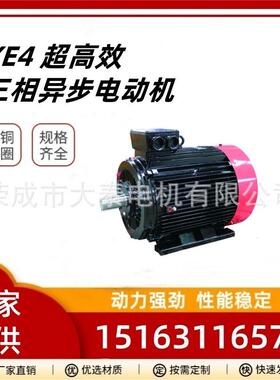 山东大泰众泰华力华瑞跨境YE4纯铜4极110kw马达三相异步电机