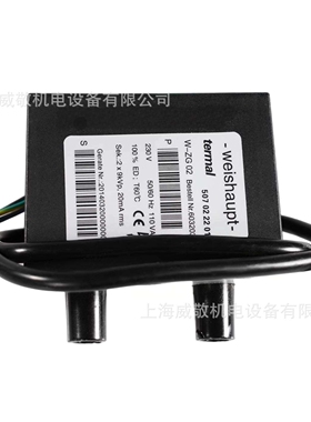 威索（Weishaupt）双极点火变压器W-ZG02 2*9KV 20mA燃烧机配件