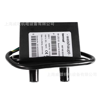 威索（Weishaupt）双极点火变压器W-ZG02 2*9KV 20mA燃烧机配件