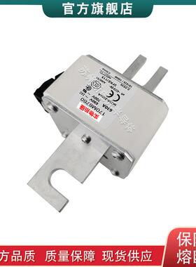 170M6785 6786 6787 6806 6788 6789 6790 6784 巴斯曼快速熔断器