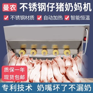 仔猪喂奶机不锈钢小猪喂奶神器仔猪吃奶机羔羊加热恒温小猪吃奶器