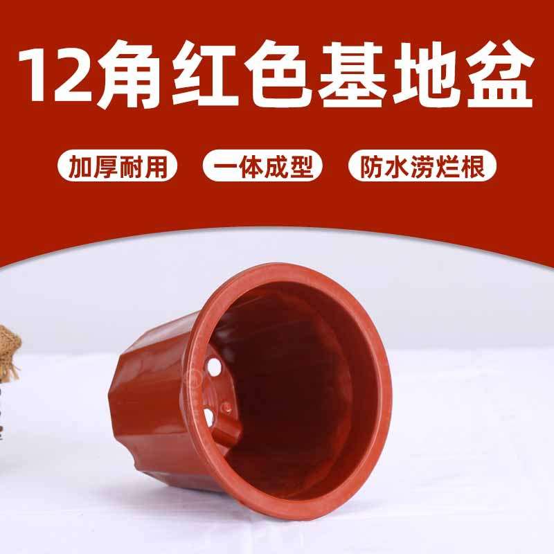 简约塑料花盆圆型盆公园绿化带植物盆基地桌面多肉花绿萝卉绿植盆