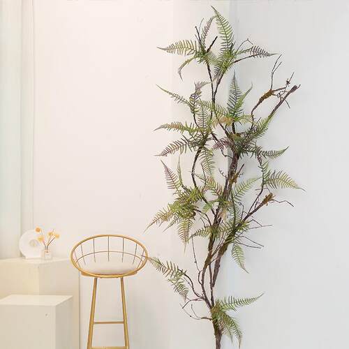 仿真波斯叶蕨类枯藤景观苔藓植物造景下水道管遮挡室内装饰藤蔓墙