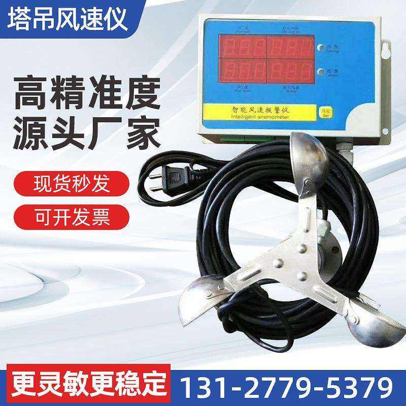 塔机塔吊风速仪数字式测速仪吊车码头气象风力风级自动报警风速计 - 实物图