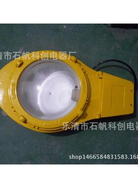 BLC8610防爆道路灯（IIC）马路灯 道路灯 BAM55LED-RY-T101