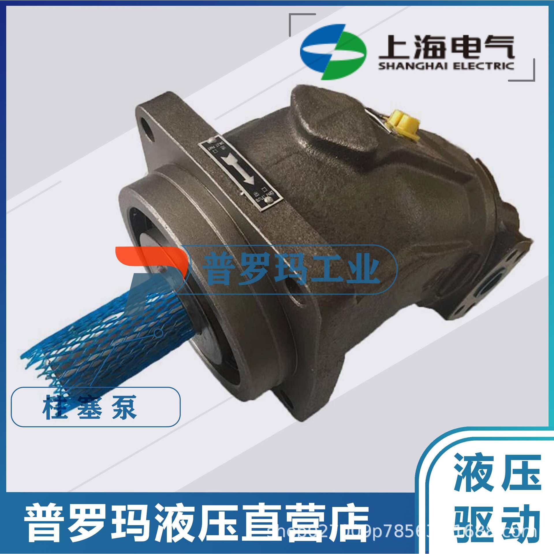 上海电气轴式柱塞泵 液压马达液压泵A2FE45 56/6.1/ A2FE56/6.1