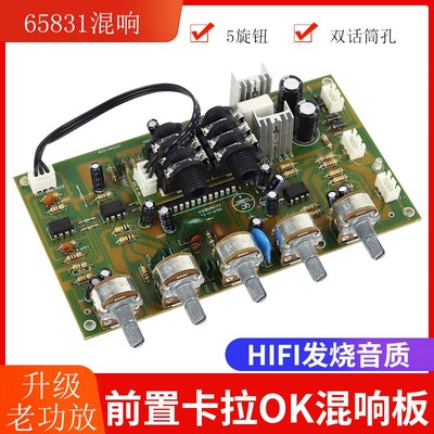 交流双12bVM65831话筒板带4558D前级放大超越PT2399卡拉OK板混音