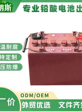 TORCH火炬蓄电池6-DG-120高机平台电瓶12V150Ah洗地机电池支持EOM