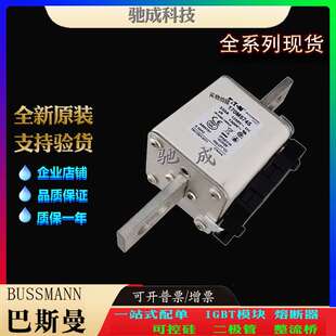 大量现货厂价销售 170M5809 特种保险丝 170M5810 巴斯曼170M5745