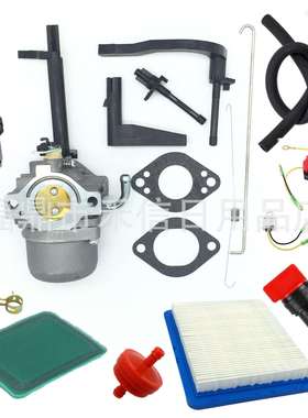 Troy Bilt 204412-0147E1发电机化油器591378 030430 695115