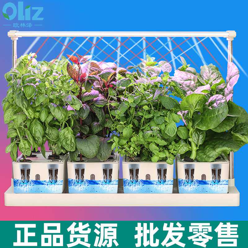 智能水培蔬菜种植机生长灯升降种植箱无土培植系统现货爆款育苗机