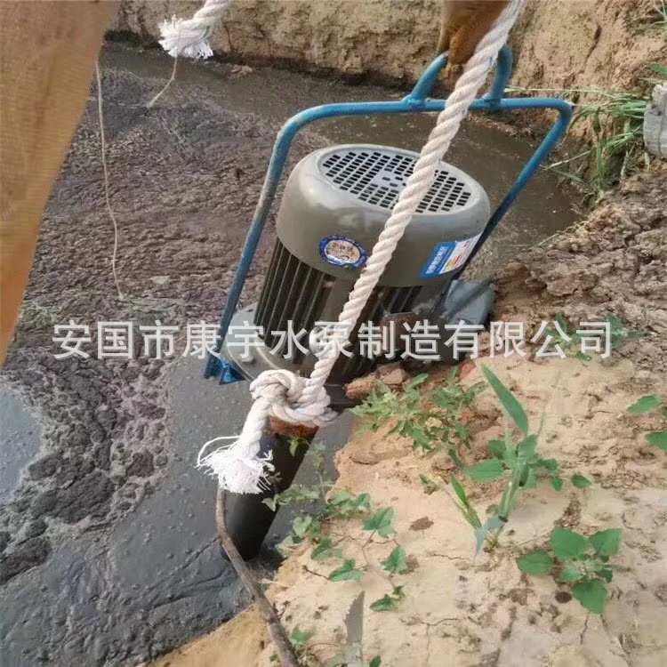化粪池抽粪泵立式杆泵带铰刀无堵塞污水泵泥浆泵立杆污养殖吸粪机