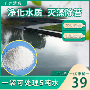 中央空调灭藻剂水管道水系统工业循环冷却水塔景观水池粘泥剥离剂