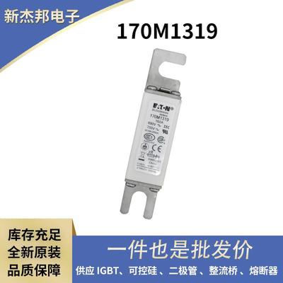 170M1319 170M1320 170M1321原厂供应 快速熔断器保险丝速断