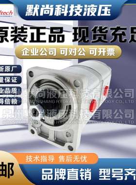 高泰克Galtech齿轮马达2SM-G-140-D-EUR-H-N-10-G齿轮泵 液压马达